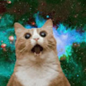 Meet your Posher, Typical